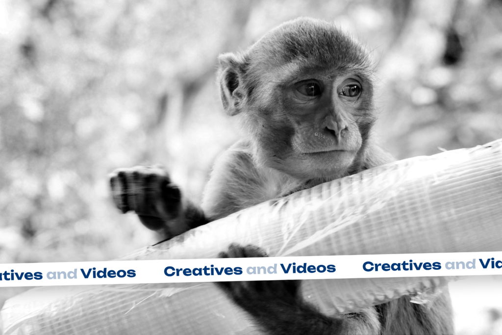 About 1 Modernmonke - Creative Re-Branding Agency We help Businesses Stand-out using the power of Re-Branding. Our Creative Re-branding, modernmonke